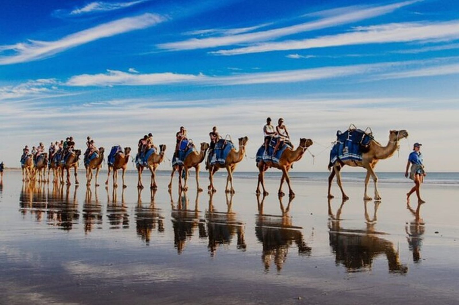 Camel Experience