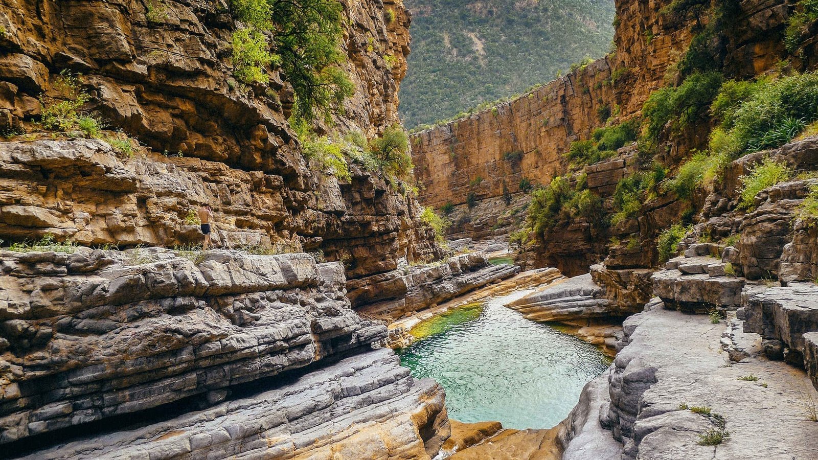 Paradise Valley